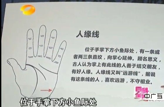 通過掌紋了解身體健康 （王晨霞老師）  自己整理《百科全說》