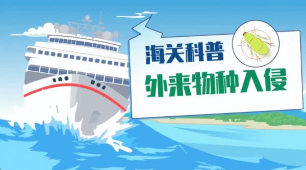 小學一年級微課怎么做？跟著步驟就能學會！第2張圖片