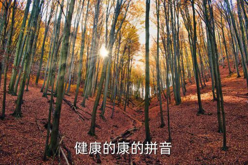 健康的康的拼音
