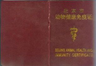 猫咪需要哪些证？宠物健康证明怎么办理？
