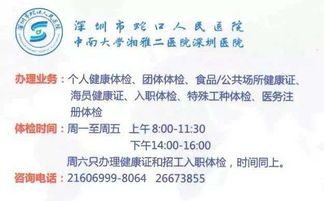 宠物猫咪健康证办理指南