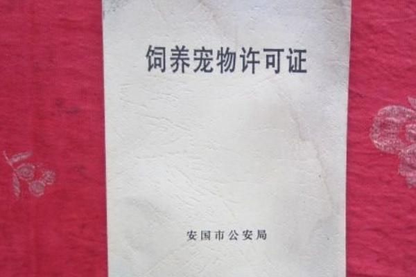 寵物貓如何辦理貓證，可持身份證等相關(guān)證明前往派出所登記