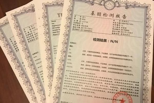 寵物貓如何辦理貓證，可持身份證等相關(guān)證明前往派出所登記
