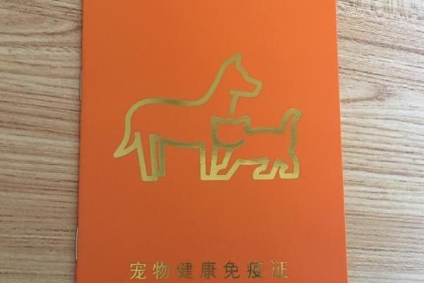 寵物貓如何辦理貓證，可持身份證等相關(guān)證明前往派出所登記
