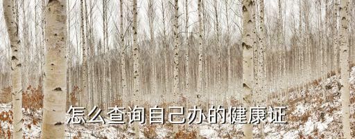 怎么查询自己办的健康证