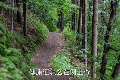 健康证怎么在网上查