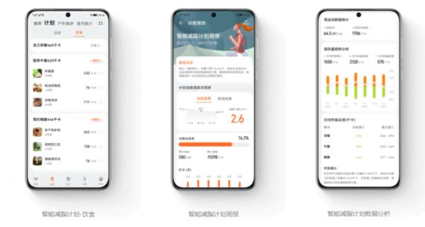 華為智慧健身運(yùn)動報告:如何在線查看您的健數(shù)據(jù)