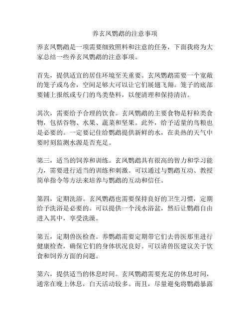 養(yǎng)玄鳳鸚鵡的注意事項
