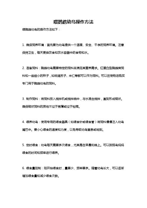 喂鸚鵡幼鳥操作方法