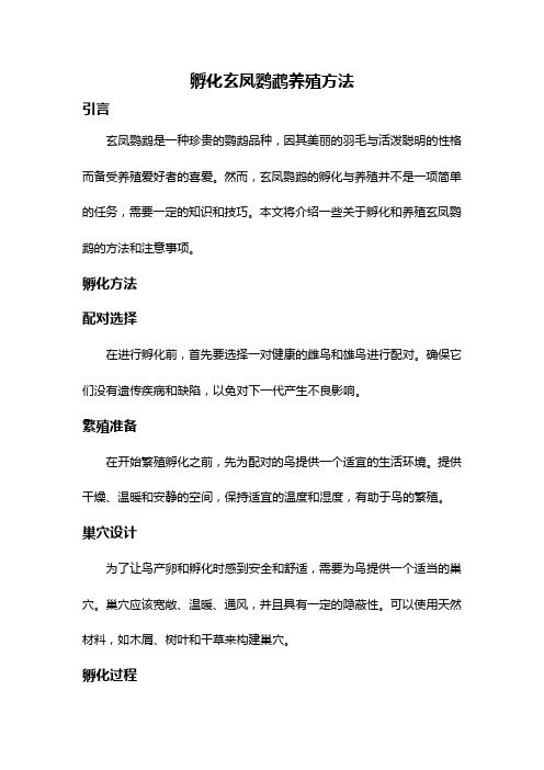 孵化玄鳳鸚鵡養(yǎng)殖方法