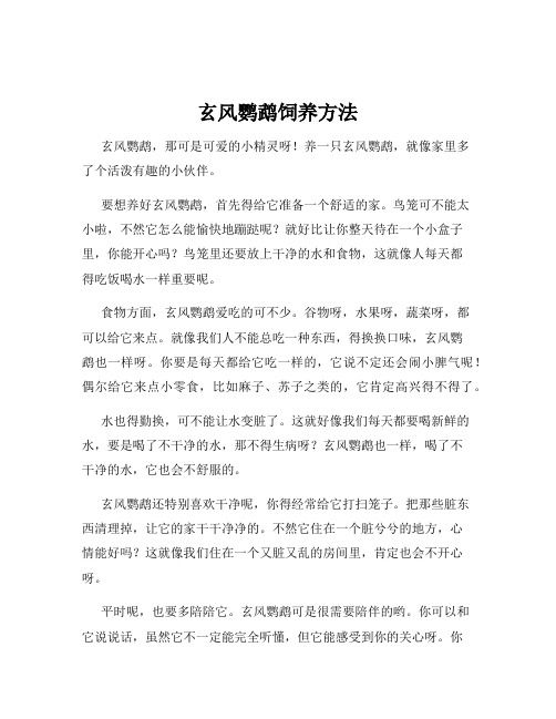 玄風鸚鵡飼養(yǎng)方法