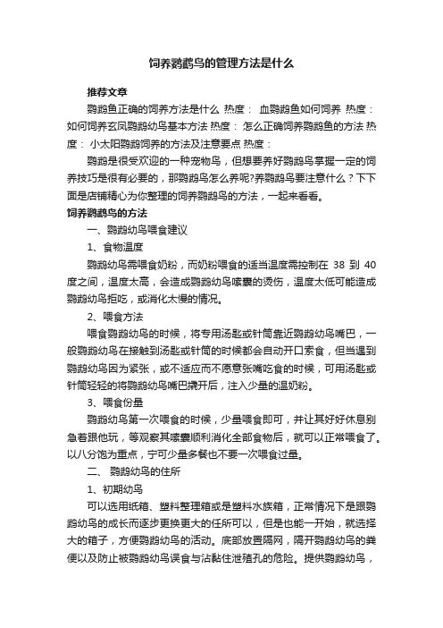 飼養(yǎng)鸚鵡鳥的管理方法是什么