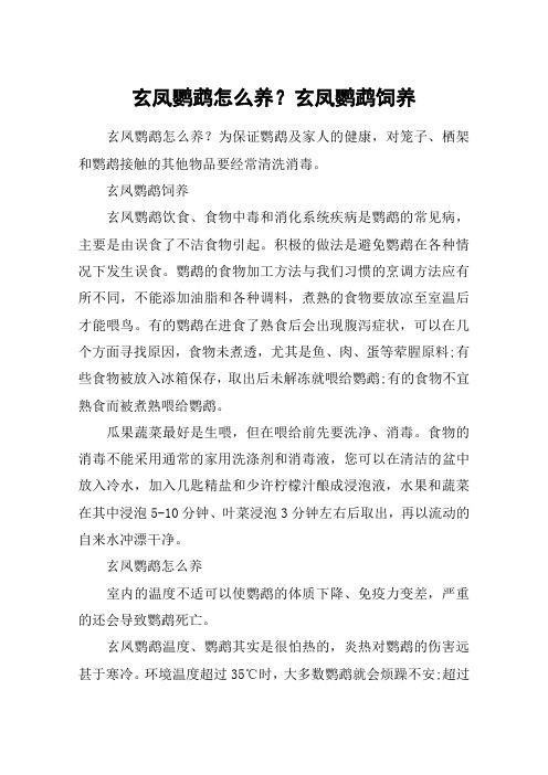 玄鳳鸚鵡怎么養(yǎng)？玄鳳鸚鵡飼養(yǎng)