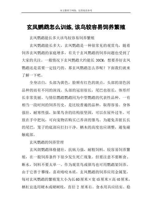玄鳳鸚鵡怎么訓練,該鳥較容易飼養(yǎng)繁殖