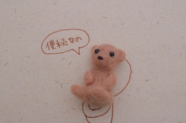 怎樣才算便秘，益生菌真的能改善便秘嗎？