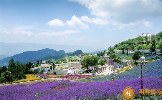 心理健康標(biāo)準(zhǔn)有哪些？