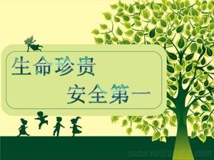《第八章 科學用藥 保障健康》PPT課件(河北省縣級優(yōu)課).ppt