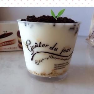 DIY???盆栽酸奶-美味營養(yǎng)早餐的做法 步驟6
