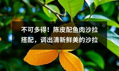 不可多得！陳皮配魚肉沙拉搭配，調(diào)出清新鮮美的沙拉