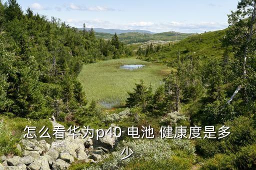怎么看華為p40 電池 健康度是多少