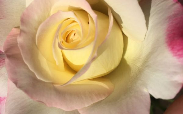 Empathy as a Caring Perspective