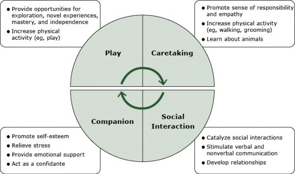 Model for how pet dogs may influence the physical and mental health of children aged 4 to 10 years. The model summarizes study findings regarding how pet dogs promote children’s behavioral and emotional development, mental health (3,4, 11–13,30), and physical activity (6–10,26).