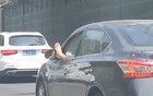 上海高架這一幕引起公憤！回應(yīng)：行為惡劣，將被收車！