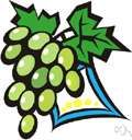 nutrition - (physiology) the organic process of nourishing or being nourished