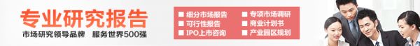 专业研究报告