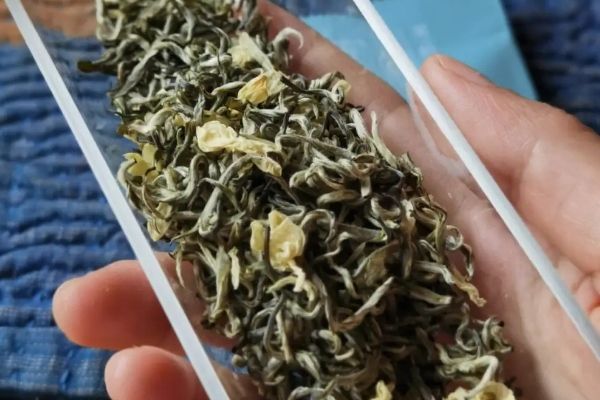 碧潭飄雪茶多少錢(qián)一斤，正宗碧潭飄雪茶葉價(jià)格
