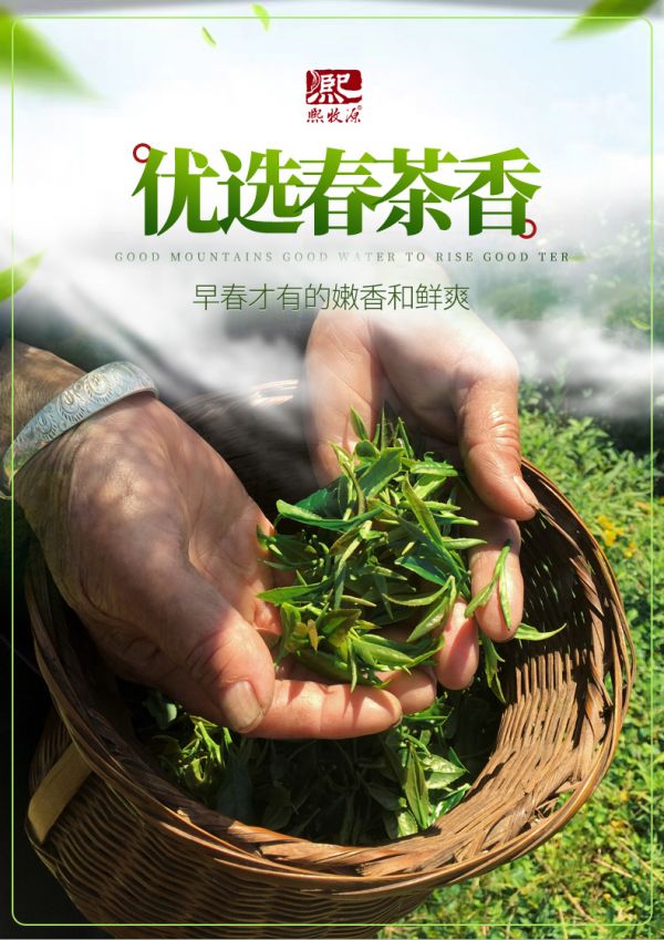 熙牧源 2020新茶 碧螺春 明前嫩芽綠茶 125g/罐 圖3