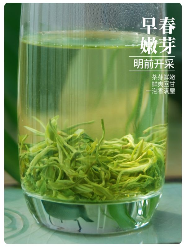 熙牧源 2020新茶 碧螺春 明前嫩芽綠茶 125g/罐 圖5