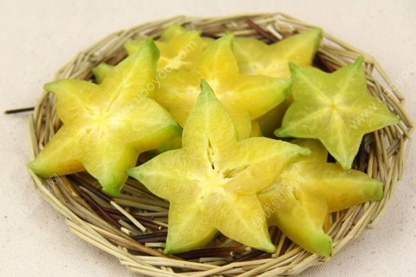 杨桃可以和酸奶一起吃吗？杨桃和酸奶一起吃好不好？(1)