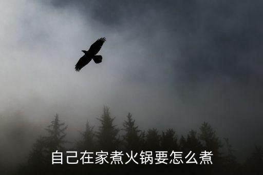 自己在家煮火鍋要怎么煮