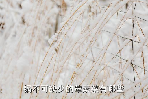 鍋不可缺少的葷素菜有哪些