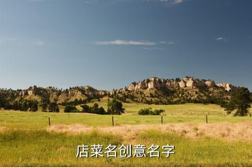 店菜名創(chuàng)意名字