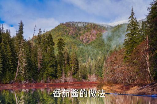  番茄醬的做法