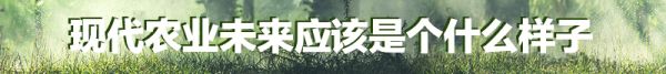 現(xiàn)代農(nóng)業(yè)