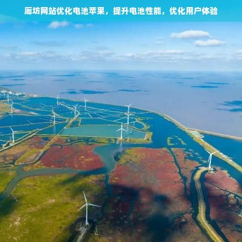 廊坊網(wǎng)站優(yōu)化電池蘋果，提升電池性能，優(yōu)化用戶體驗