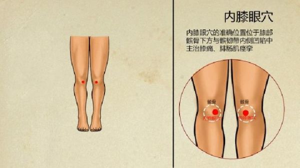 身體瘦身穴位在哪里
