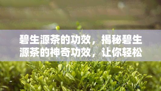 碧生源茶的功效，揭秘碧生源茶的神奇功效，讓你輕松享受健生活！
