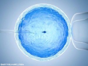 私人診所做三代試管多少錢？