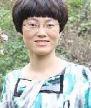 金鷹11