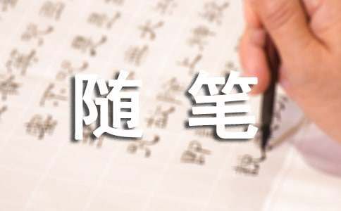 隨筆作文100字（通用29篇）