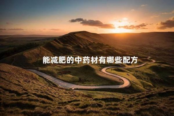 能減肥的中藥材有哪些配方