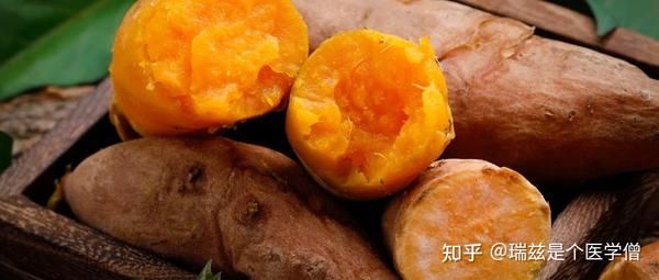 鄭多燕減肥食譜書_鄭多燕減肥操中文版全集超清_鄭多燕減肥操15分鐘減肥操