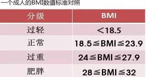 BMI計算器免費(fèi)版