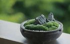 中年人的十大頂級(jí)凡爾賽，看看你占了幾條？