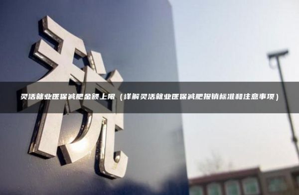 灵活就业医保减肥金额上限（详解灵活就业医保减肥报销标准和注意事项）