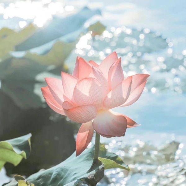 曹育